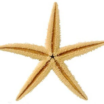100KS Mini Hviezdice Ozdoby Micro-Krajina Pláži Námorných Ozdoby na Svadobné Pláži Tému Party C66